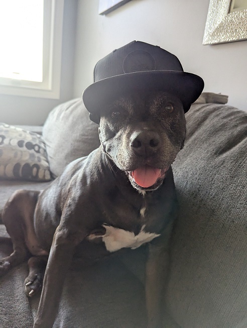 Roxy Dad: Dave Tessier